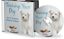 Training Your Dog