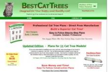 Cat Training Niche Blog