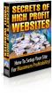 Secrets of High Profile Websites