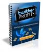 Twitter Profits Report