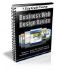  Business Web Design Basics