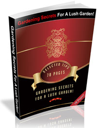 Gardening Secrets  For A Lush Garden