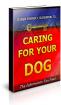 Caring For Your Dog 